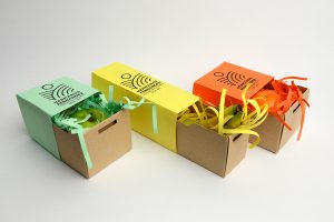 Custom Sleeve Packaging Boxes
